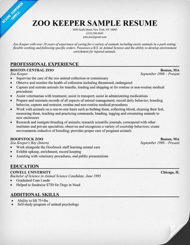 ... resume? Use a professional resume writing service , get a new resume